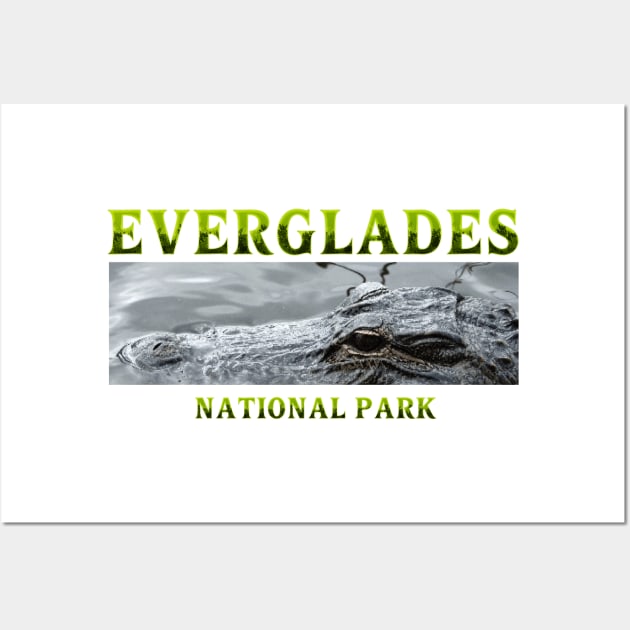 Everglades National Park Wall Art by teepossible